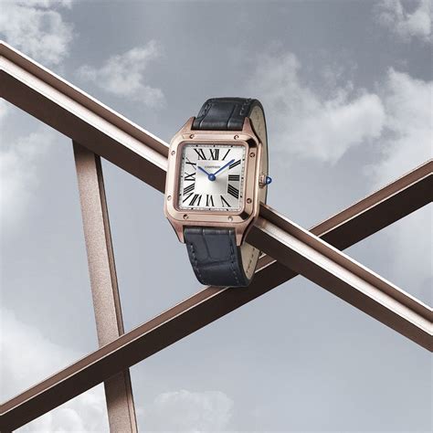 birks cartier|maison birks watches.